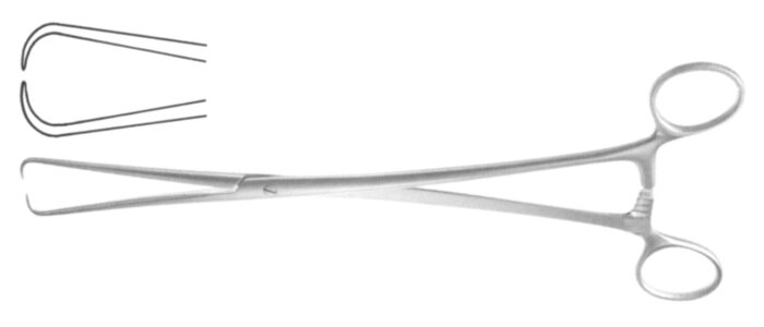 Pince POZZI PALMER mors fins droite 24cm – Image 2